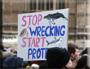 March for Marine Life