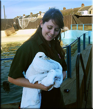 Holly Stephenson with Albert
