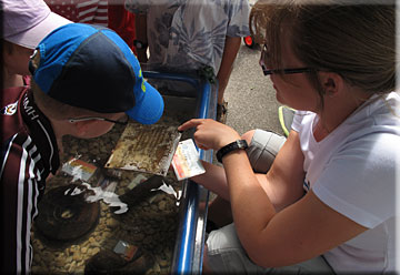 Explore the Seafloor organiser, Katie Card, showing children artefacts from the seafloor
