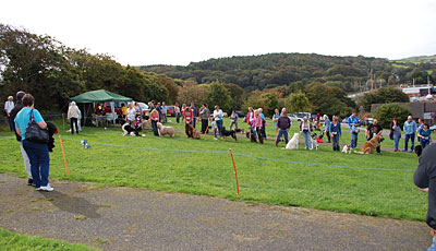 Charity Dog Show