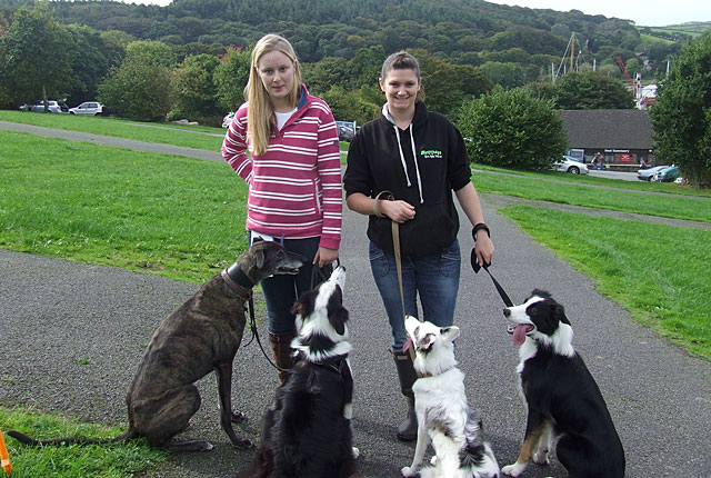 Dog Show