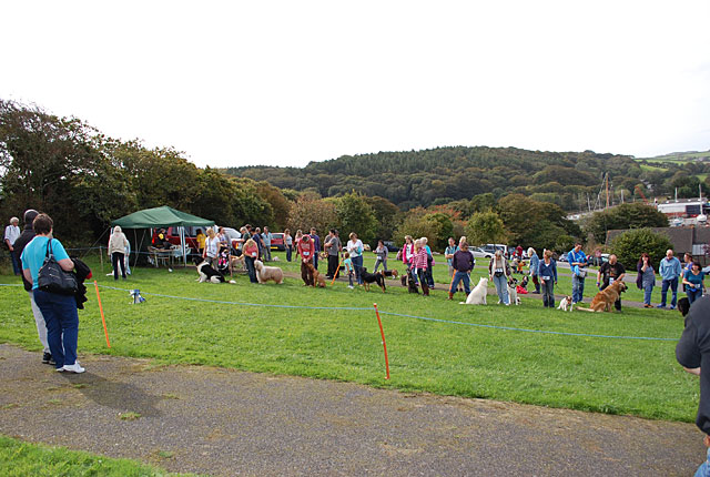 Dog Show