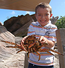 A young visitor holding Mike - Are you brave as well?