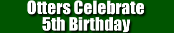 Otters celebrate 5th Birthday