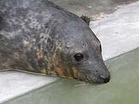 Alan in the outside pool - photo was taken on 28th December 2007