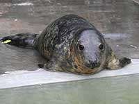 Alan in the outside pool - photo was taken on 28th December 2007