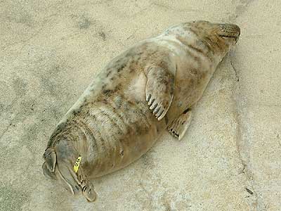 Photo copyright of Helen Allies