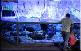 Aquarium
