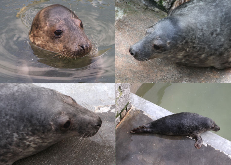 Photos of Basil Fawlty taken on 28th December 2011