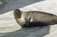 Bianca - photo was taken on 23/09/05 by Joyce Williams