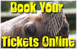 BOOK YOUR TICKETS ONLINE