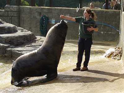 Feeding Time