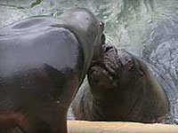 Carus kissing Boadicea