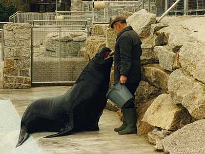 Courtney feeding Carus