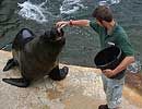 Dan feeding Carus