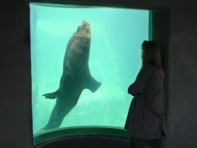 Carus viewed underwater