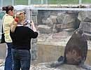 Jo and Teya taking a photo of Chaff, our resident Fur Seal