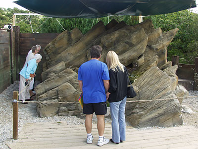 Cornish Coast Experience