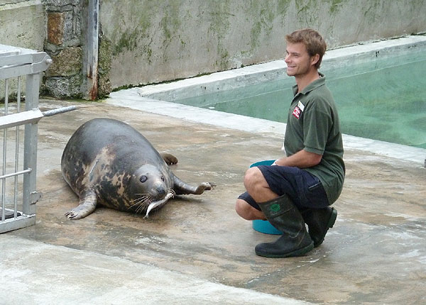 Dan - Animal Care Team - Photo copyright of Dr David Yick