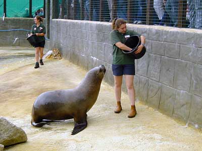 Selina feeding Dippity 