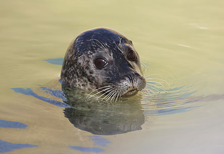 Photo was taken by Steve and Emma Edwards