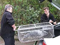 Dave and Dan Jarvis transporting Ellie to the  hospital; this photo was taken by Joyce, website editor