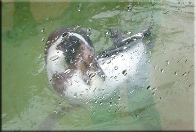 This photo was taken by Emma and Pete from Leicester during their visit in 2008