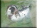 Photo Copyright of Emma and Pete from Leicester