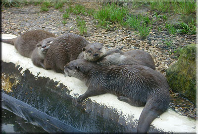 This photo was taken by Emma and Pete from Leicester during their visit in 2008