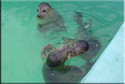 This photo was taken by Emma and Pete from Leicester during their visit in 2008