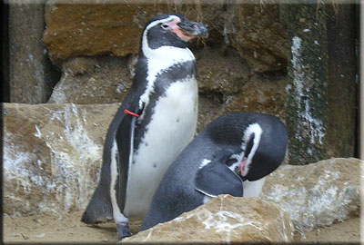 This photo was taken by Emma and Pete from Leicester during their visit in 2008