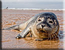 Photo copyright of Bruce Ferguson