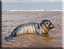 Photo copyright of Bruce Ferguson