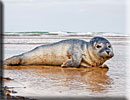 Photo copyright of Bruce Ferguson