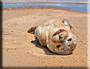 Photo copyright of Bruce Ferguson