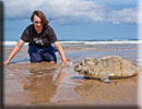 Photo copyright of Bruce Ferguson