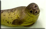 Flipper