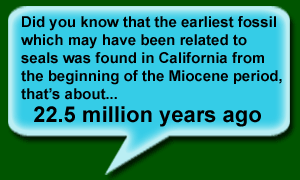 Did you know