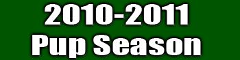 2010-2011 Pup Season