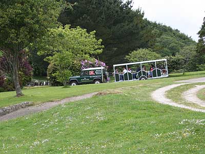 Our Safari Bus