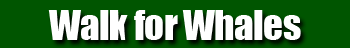 Walk for Whales