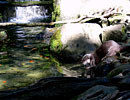 Photo Copyright of Helen Banks
