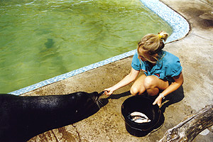 Helen, with Rocky