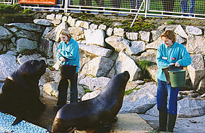 Two of our care staff in one of the pools