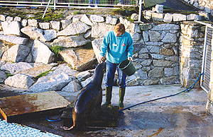 Helen with Atlantica