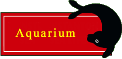 [The Hunstanton SEA LIFE Sanctuary]