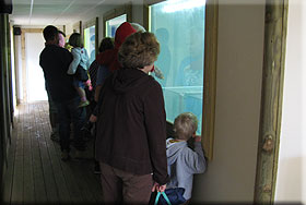 Seal Rescue Hospital at Hunstanton SEA LIFE Sanctuary