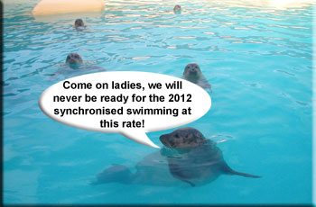 Come on ladies, we'll never be ready for the 2012 synchronised swimming at this rate!
