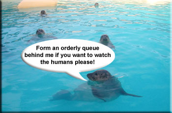 Form an orderly queue behind me if you want to watch the humans please!