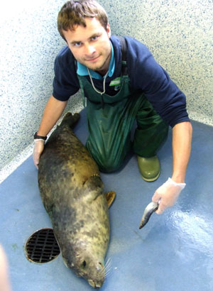 Dan Jarvis with Biffy, a rescued seal pup